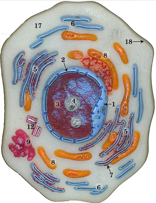 <p>#2</p>