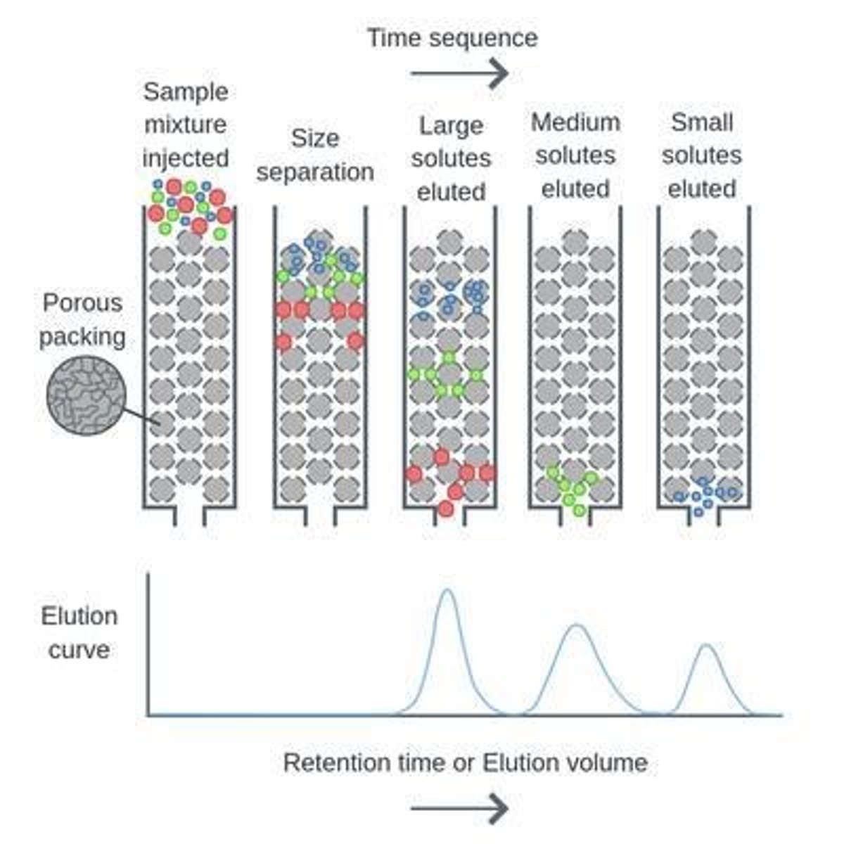 <p>Separates molecules based on size using porous beads.</p>