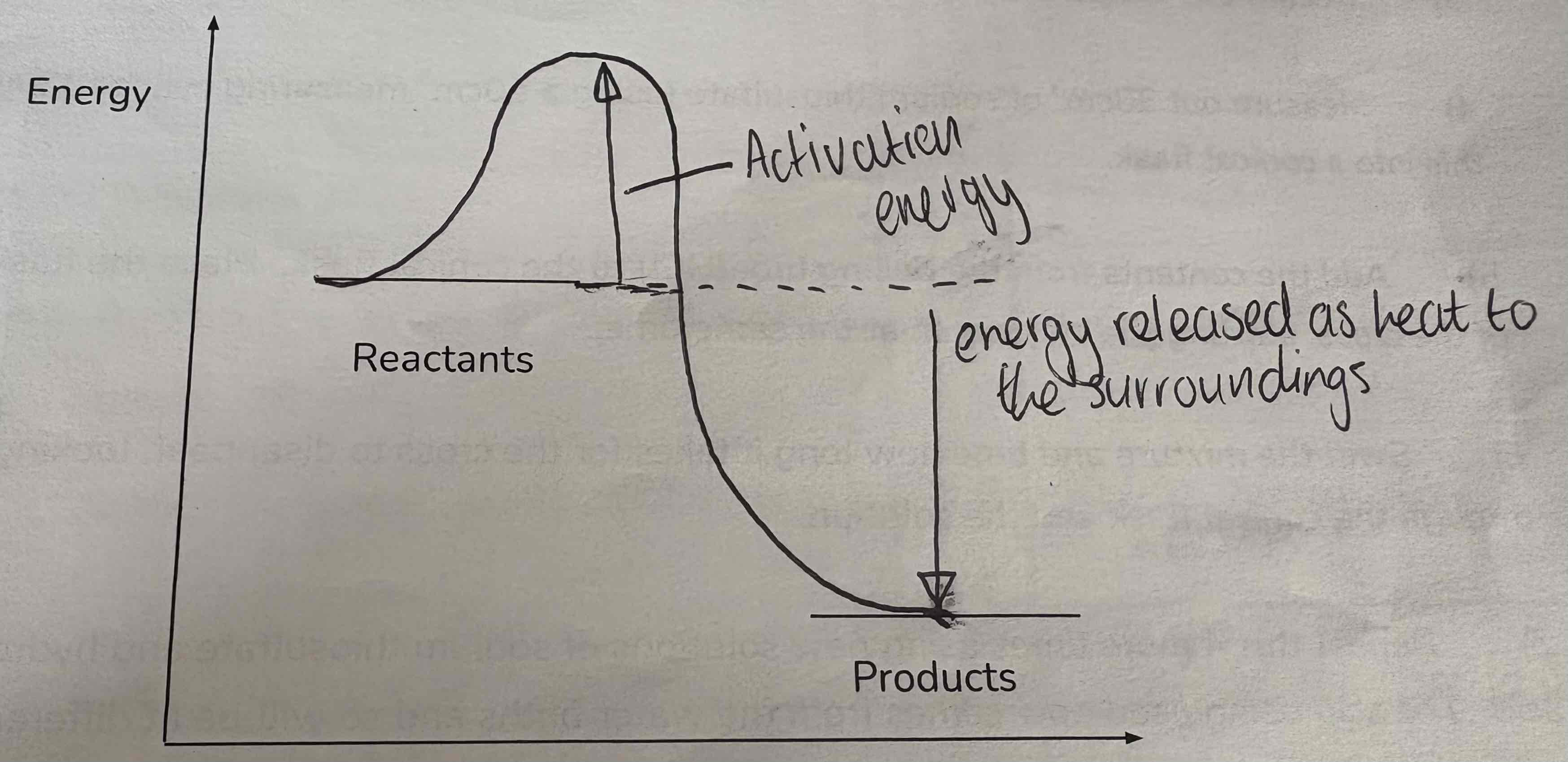 <ol><li><p>Reactants</p></li><li><p>Activation energy</p></li><li><p>Energy released as heat to surroundings</p></li><li><p>Products</p></li></ol><p></p>