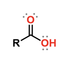 <p>carbonyl, weak acid (bears a negative charge when it donates a proton</p>