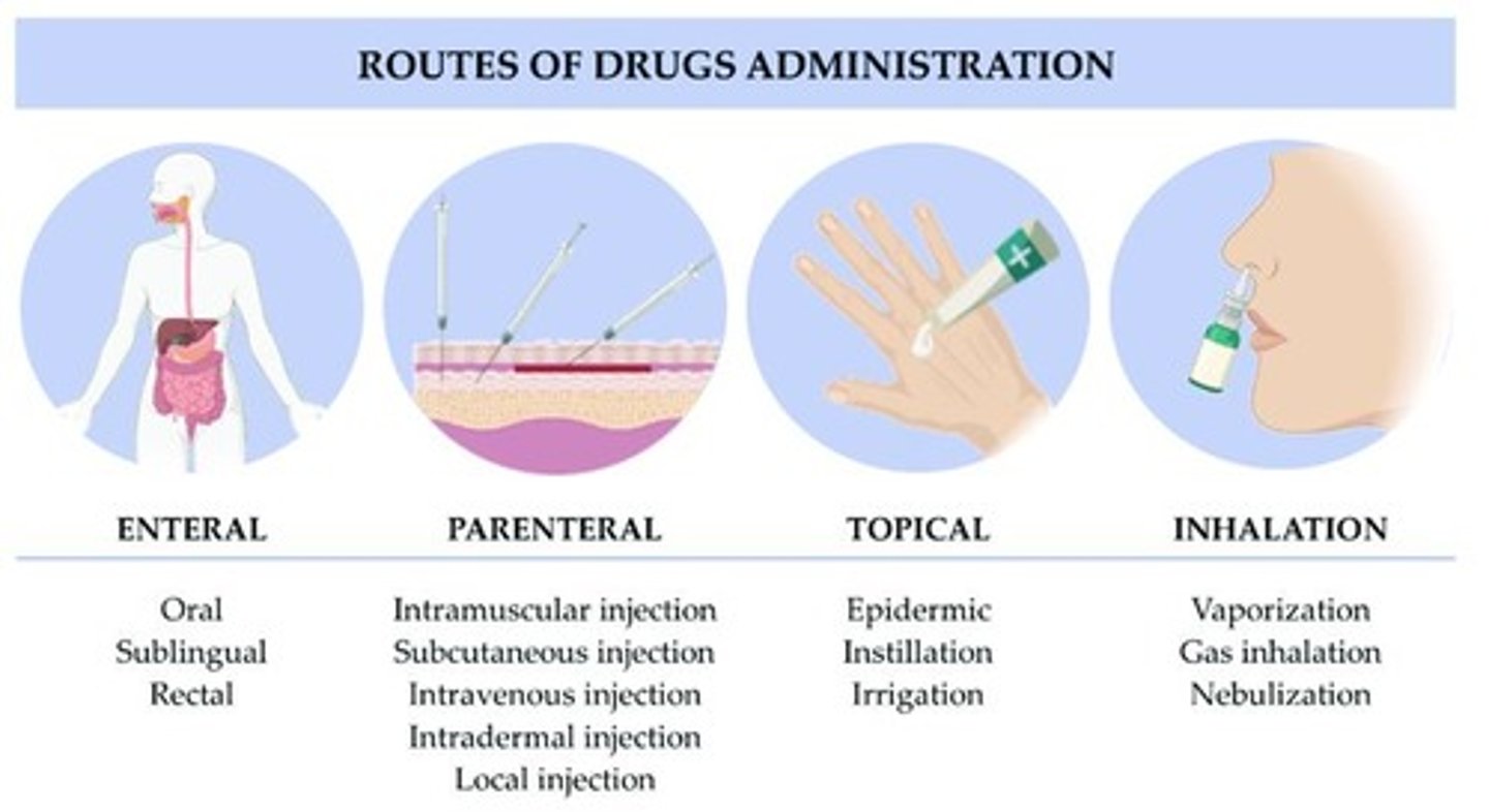 <p>Routes that use the gastrointestinal tract such as oral, sublingual/buccal, and rectal.</p>
