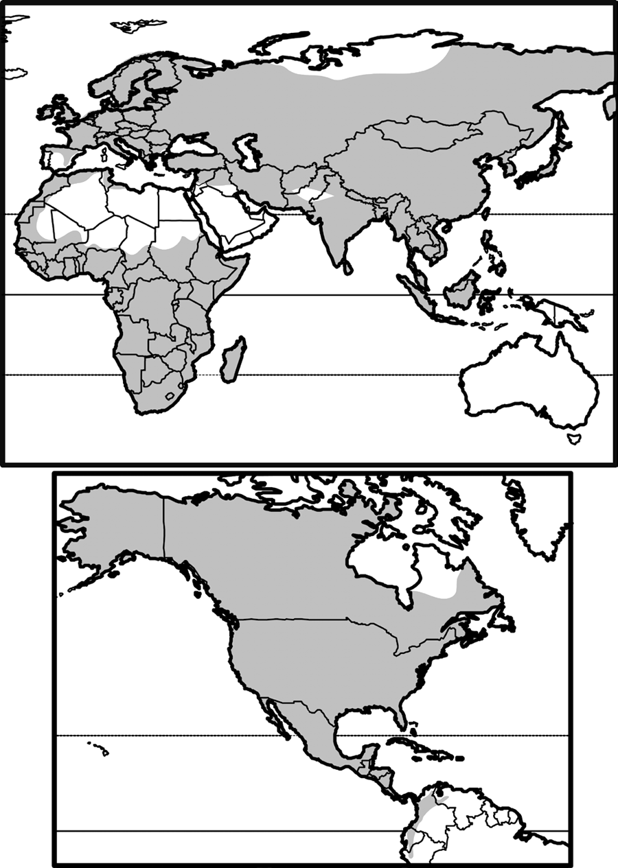 eurasia, africa, north america, northwester south america, absent in australasia