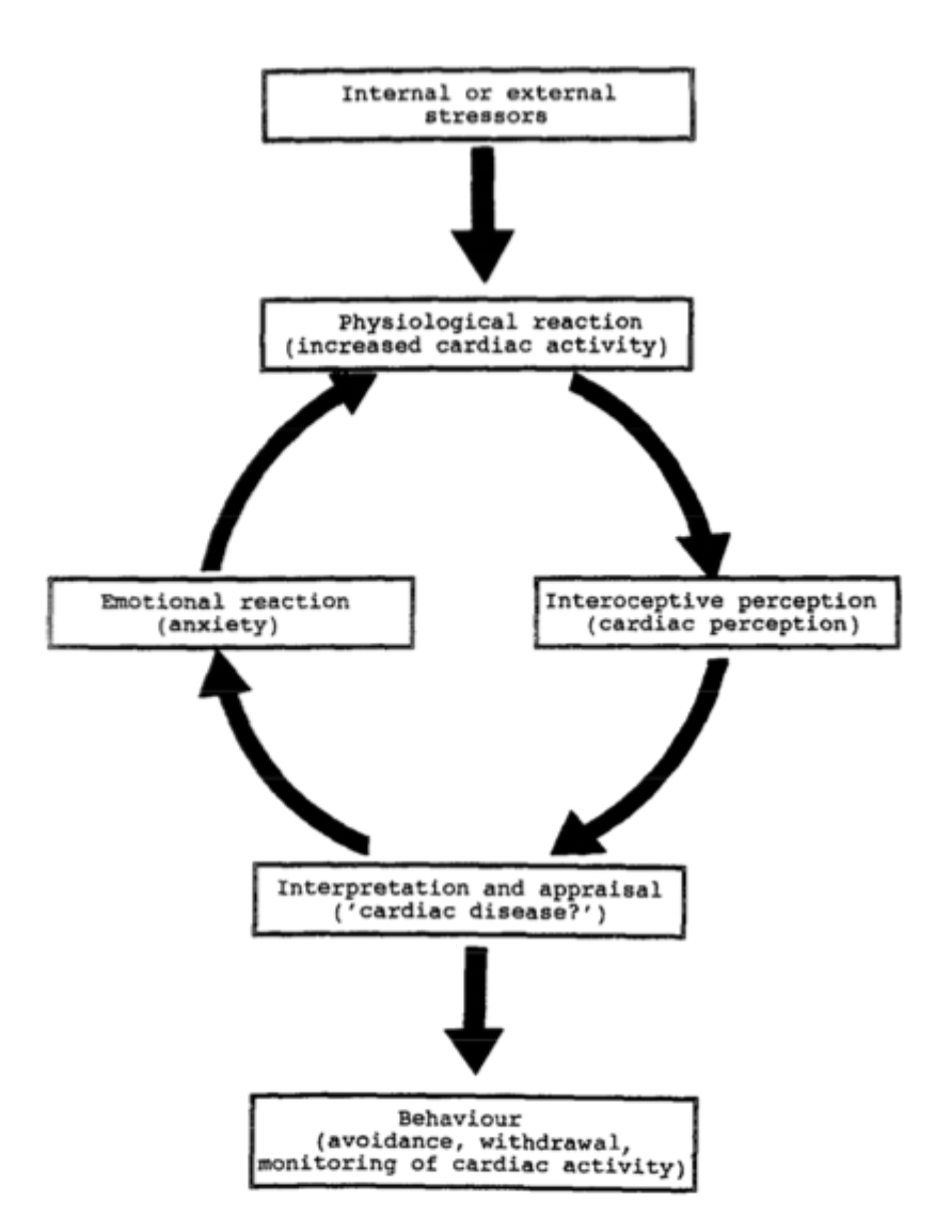 <ul><li><p>perceiving normal increases in heart rate as potentially catastrophic, experience a mismatch between actual and experienced bodily state</p></li><li><p>leading to heart rate acceleration and anxiety - body state regulated to minimise the mismatch → raising the heartbeat which further exacerbates anxiety</p></li><li><p>avoidance behaviours (e.g. withdrawal, agoraphobia)</p></li></ul><p></p>