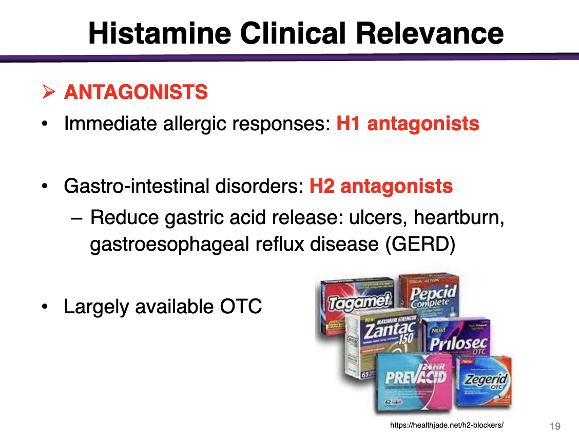 <p>immediate allergic responses </p>