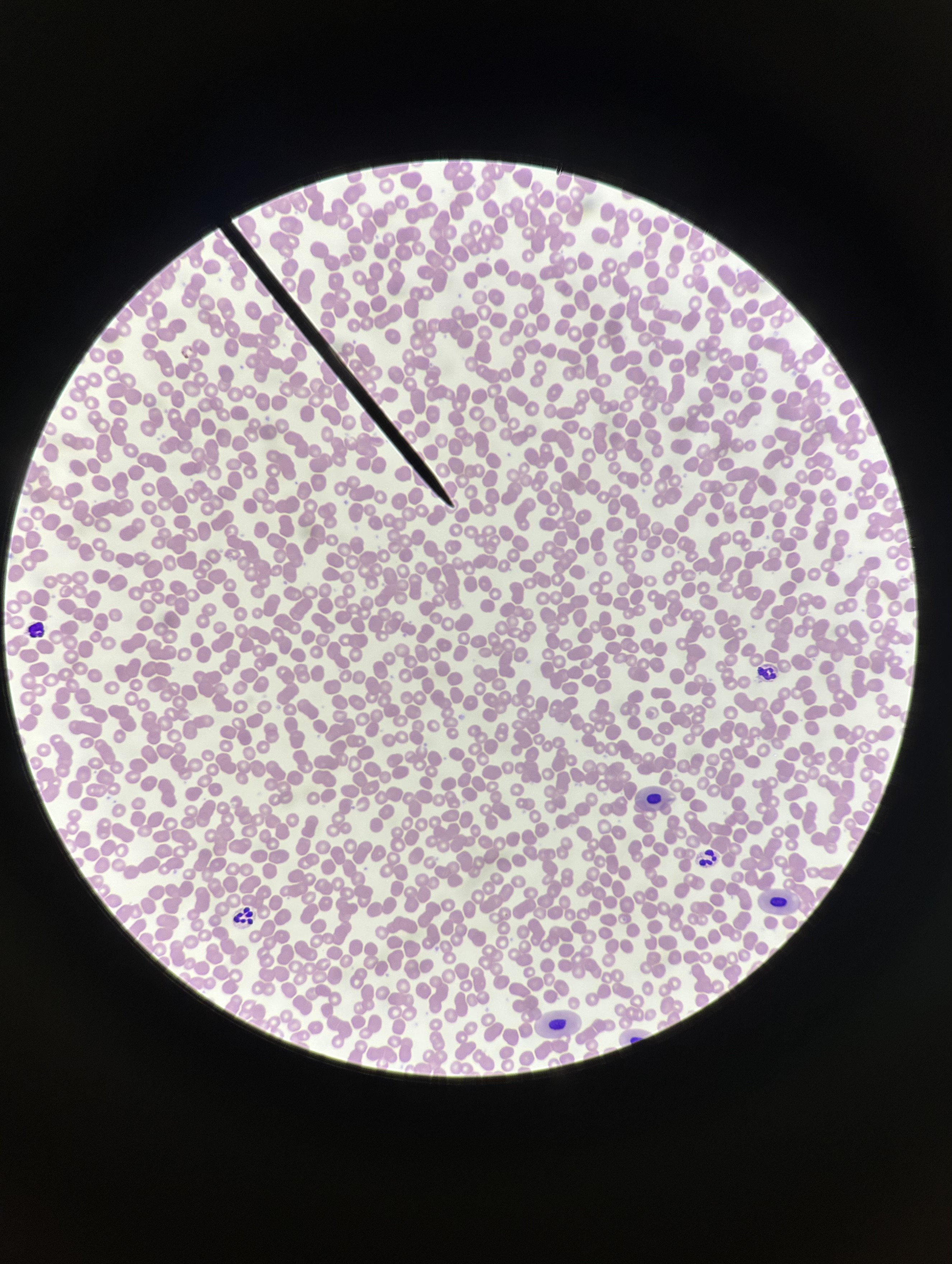 <p>What is this?</p>