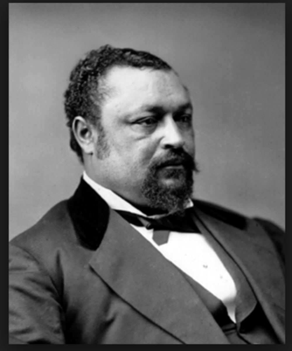 <p>An African American Senator that once was a runaway slave, established a school for African Americans during the beginning on the Civil War (page 505)</p>