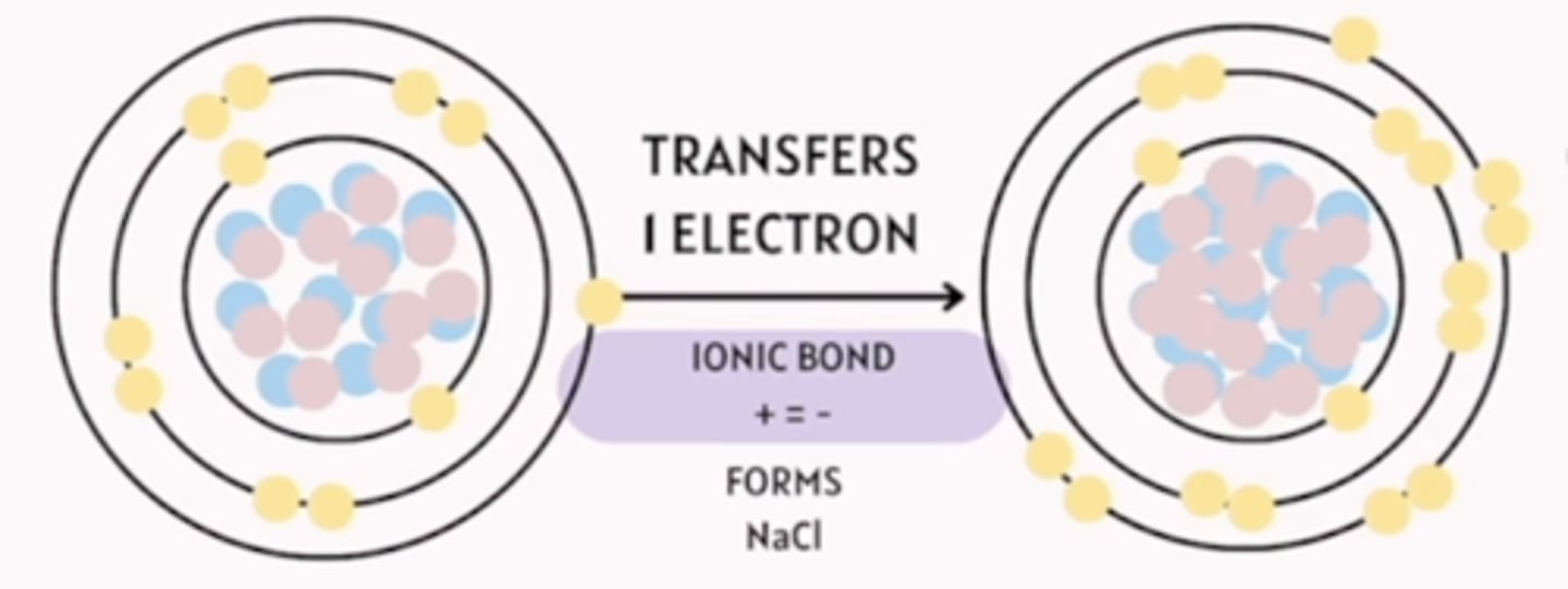 <p>complete transfer of electrons "i give, you take"</p>