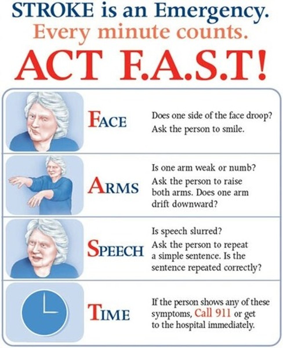 <p>- RAPID neurological assessments</p><p>"BE FAST"</p><p>- determine baseline neurological functioning</p><p>- safety assessments</p><p>- time length of TIA</p><p>- access the airway</p><p>- Post TIA, educate preventative/modifiable lifestyle changes</p>