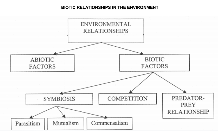 4 Categories 


1. $$__**Symbiosis -**__$$ when two organisms live together, both benefit 

* 3 types of symbiosis


2. $$__**Competition -**__$$ two types of organisms compete for the same resource 

* inter-competition  - different species \*^^*REMEMBER:* __**Inter = interact = different**__ *species interacting* \*^^
* intra-competition - same species


3. $$__**Prey/Predator**__$$
4. $$__**Allelopathy -**__$$ Plants, fungi, and coral