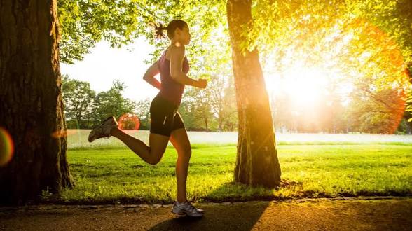<p>yo podía</p><p>Yo podía correr rápido en el parque</p>