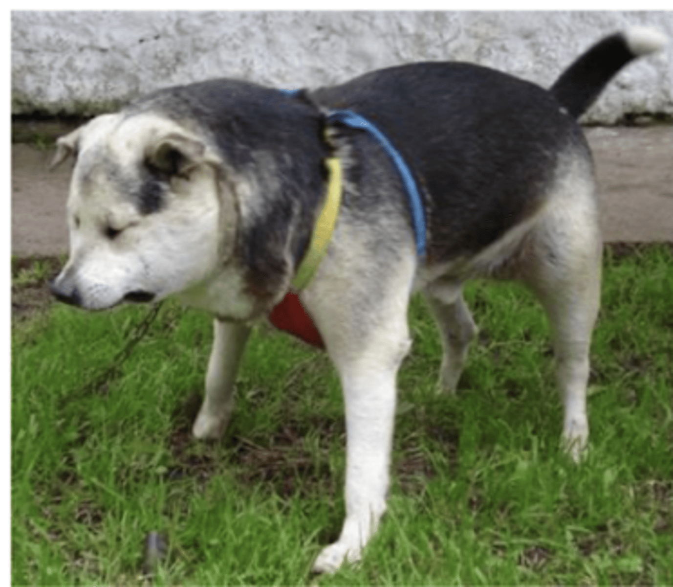 <p>what is this problem called?</p>