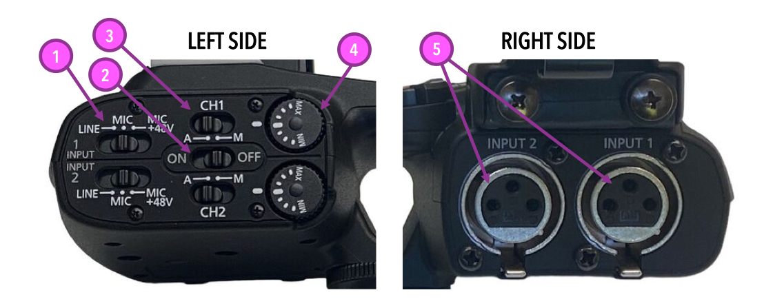 <p>What is the pink #2 pointing to</p>
