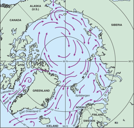<ul><li><p>The Arctic has its own gyre, which is not centered over the north pole but displaces to the west </p></li></ul>