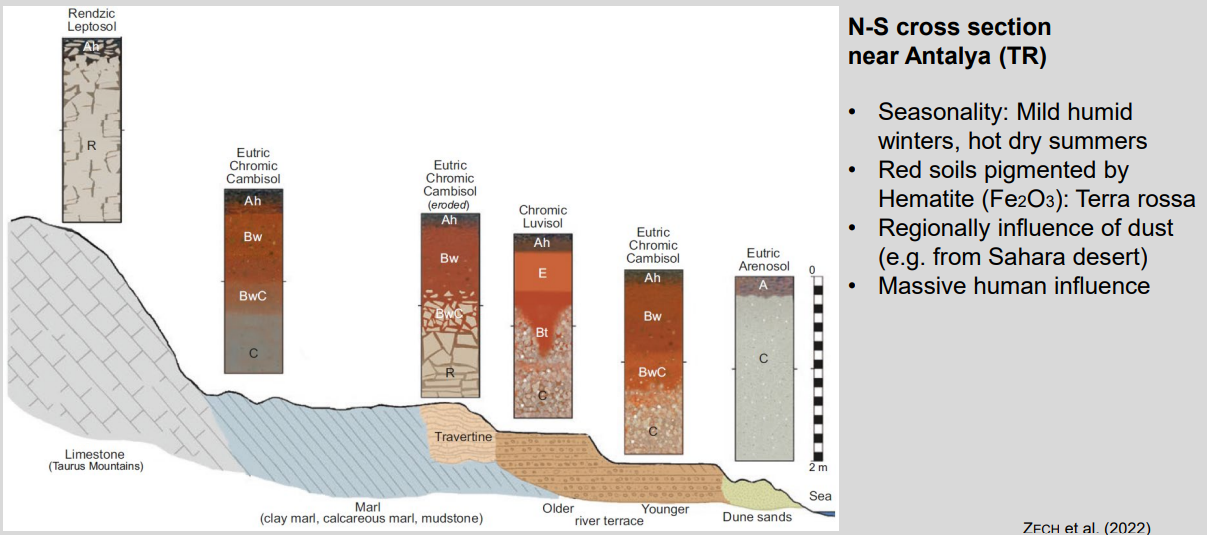 <ul><li><p><strong>Climate control:</strong> mild, humid winters → leaching; hot, dry summers → oxidation</p></li><li><p><strong>Processes:</strong> decalcification + rubefaction (Fe oxidation → red colors)</p></li><li><p><strong>Upslope → downslope:</strong> shallow calcareous soils → deeper red soils → young sandy soils</p></li><li><p><strong>External inputs:</strong> Saharan dust contributes fine material and Fe</p></li><li><p><strong>Human impact:</strong> strong erosion, truncation, reworking of soils</p></li></ul><p><strong>Key idea:</strong> seasonal climate + carbonate parent material produce red Mediterranean soils along the catena.</p>