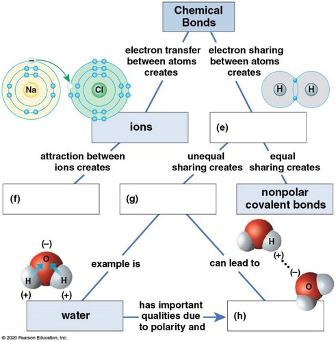 <p>Attraction between atoms due to electron interactions.</p>