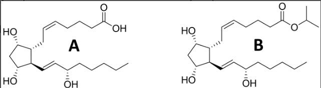 <p>which would have a higher corneal permeability?</p>