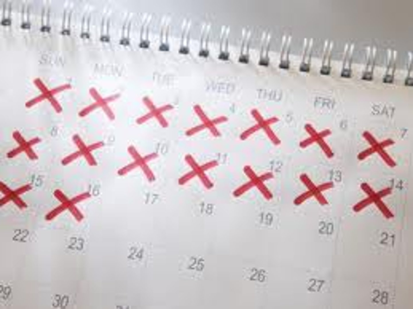 <p>another day</p>