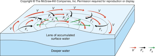 <ul><li><p>Start with the black arrow. This is the net Ekman transport, pushing water into the center of the gyre as a result of the Coriolis effect. Fc denotes the Coriolis effect. We are in the northern hemisphere. A hill of accumulated water will form</p></li><li><p>Then the green arrows: The water on the hill will be pulled straight down the hill by gravity, resulting in a flow according to the green arrow</p></li><li><p>Then the red arrows: the water flowing downhill will be deflected to the right, by the Coriolis effect, giving a clockwise flow</p></li><li><p>Geostrophic clockwise flow results when the black and green arrows balance</p></li></ul>