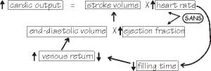 <p><span>The flow chart shown below best represents:</span></p>