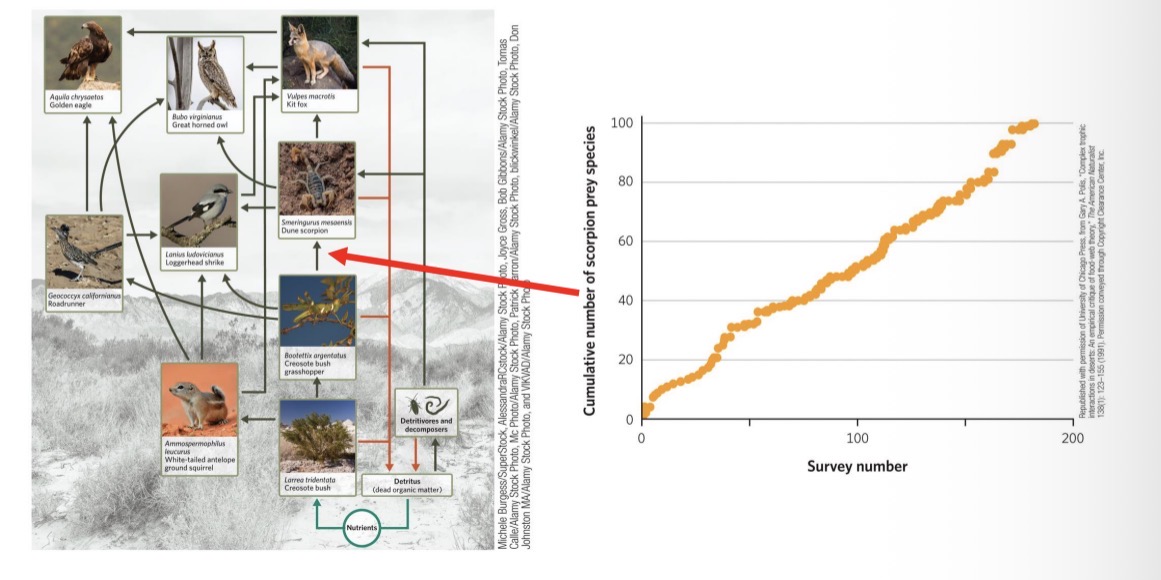 <ul><li><p>data availability and the study’s objective.</p></li><li><p>No matter how much detail is added, a food chain / food web will always underrepresent reality</p></li><li><p>Ex. Partial food web of the Scotian Shelf in the NW Atlantic Ocean</p></li></ul><p></p>