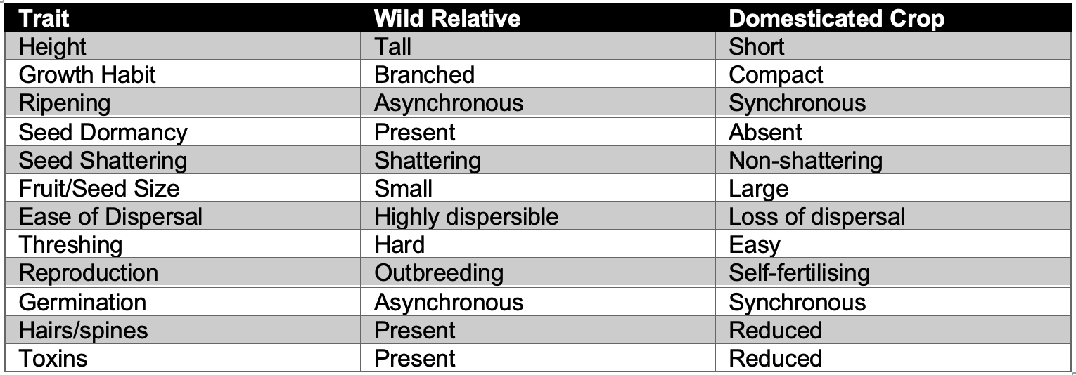 <p><strong>Important note:</strong></p><ul><li><p>distinct phenotypic consequences that are <strong>shared</strong></p></li><li><p>by domesticated plants</p></li><li><p><strong>regardless</strong></p></li><li><p>of geographical or organismal origin</p></li></ul><p></p>