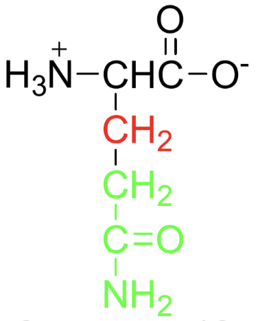 <p>Name, Type (A/N/B), Polarity</p>