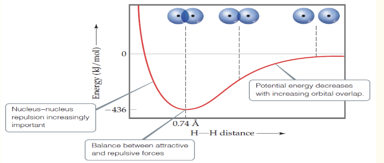 <p>In this graph, the minimum distance is the bond _____</p>