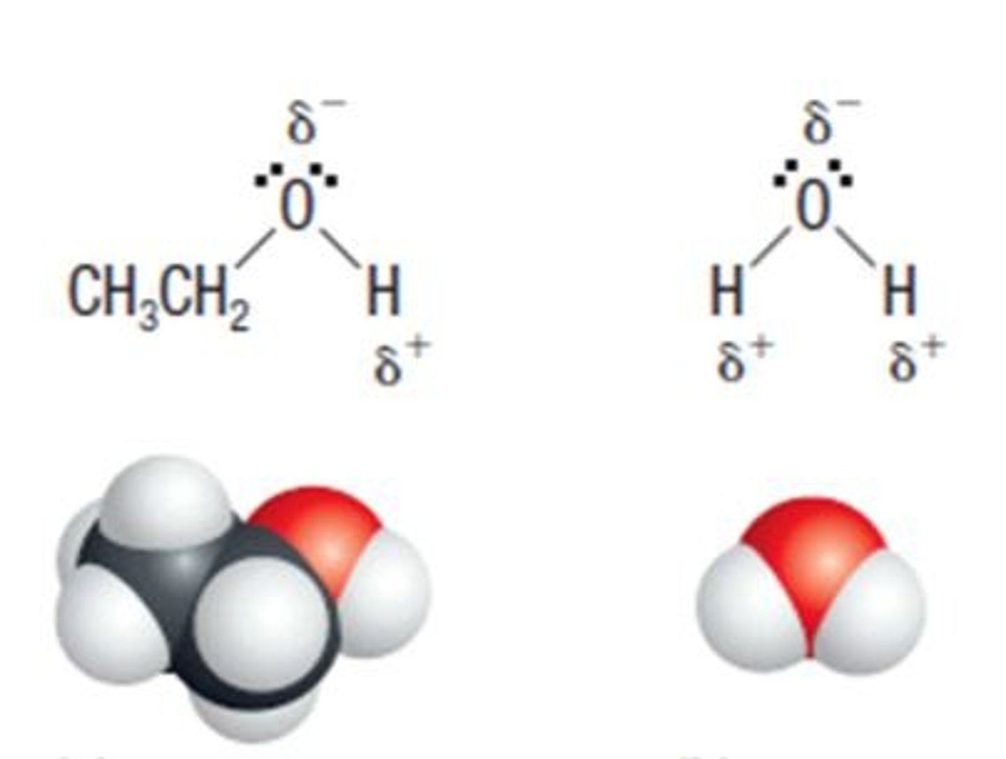 <p>Polar dissolves polar, nonpolar dissolves nonpolar</p>