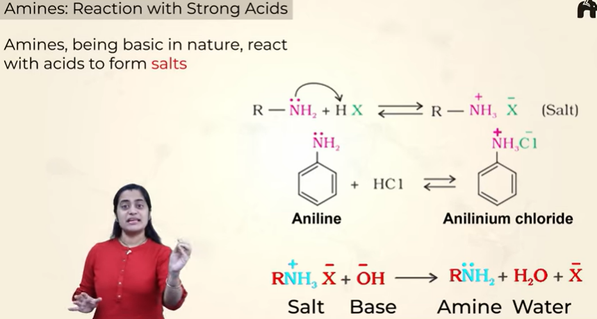 <ul><li><p>when reacted with acids they form salts</p></li><li><p>and when these salts are reacted with a strong base you get the amine back </p></li></ul><p></p>