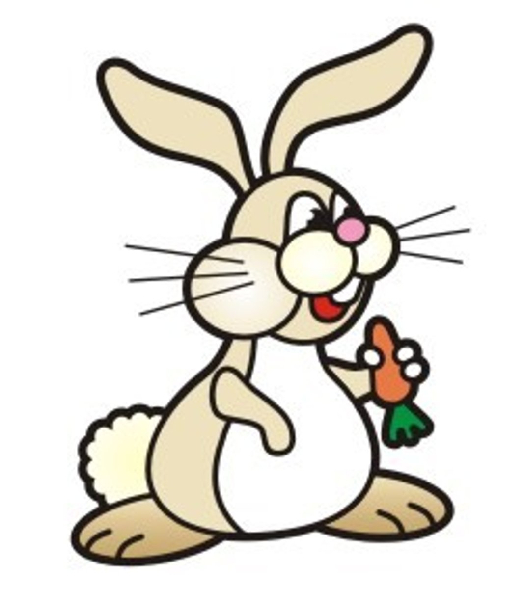 <p>rabbit</p>