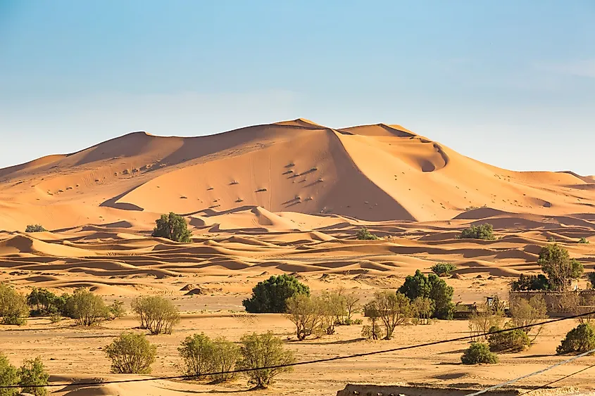 <p>Deserts </p>