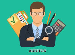 <p>Auditor</p>