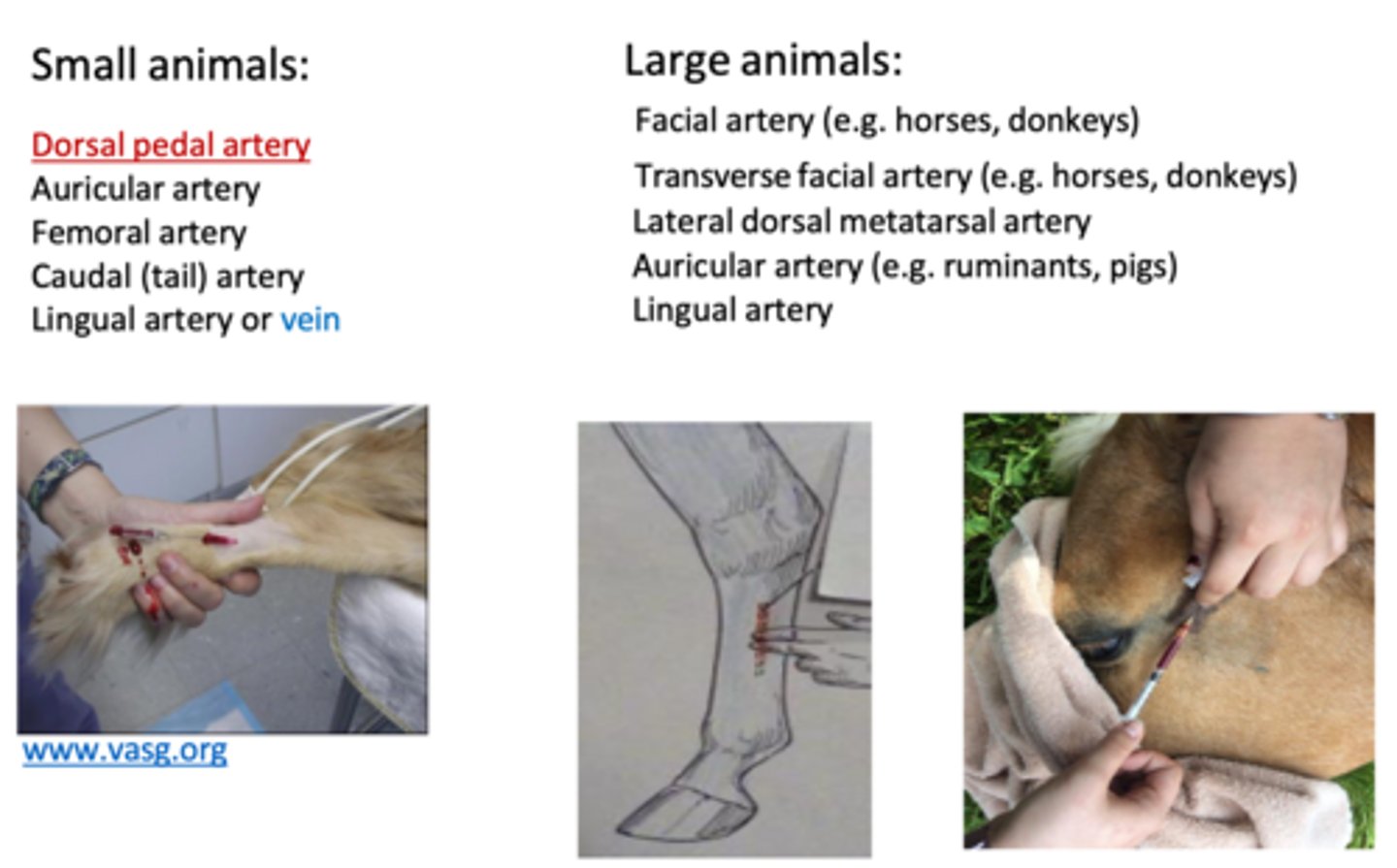 <p>review collection sites</p>