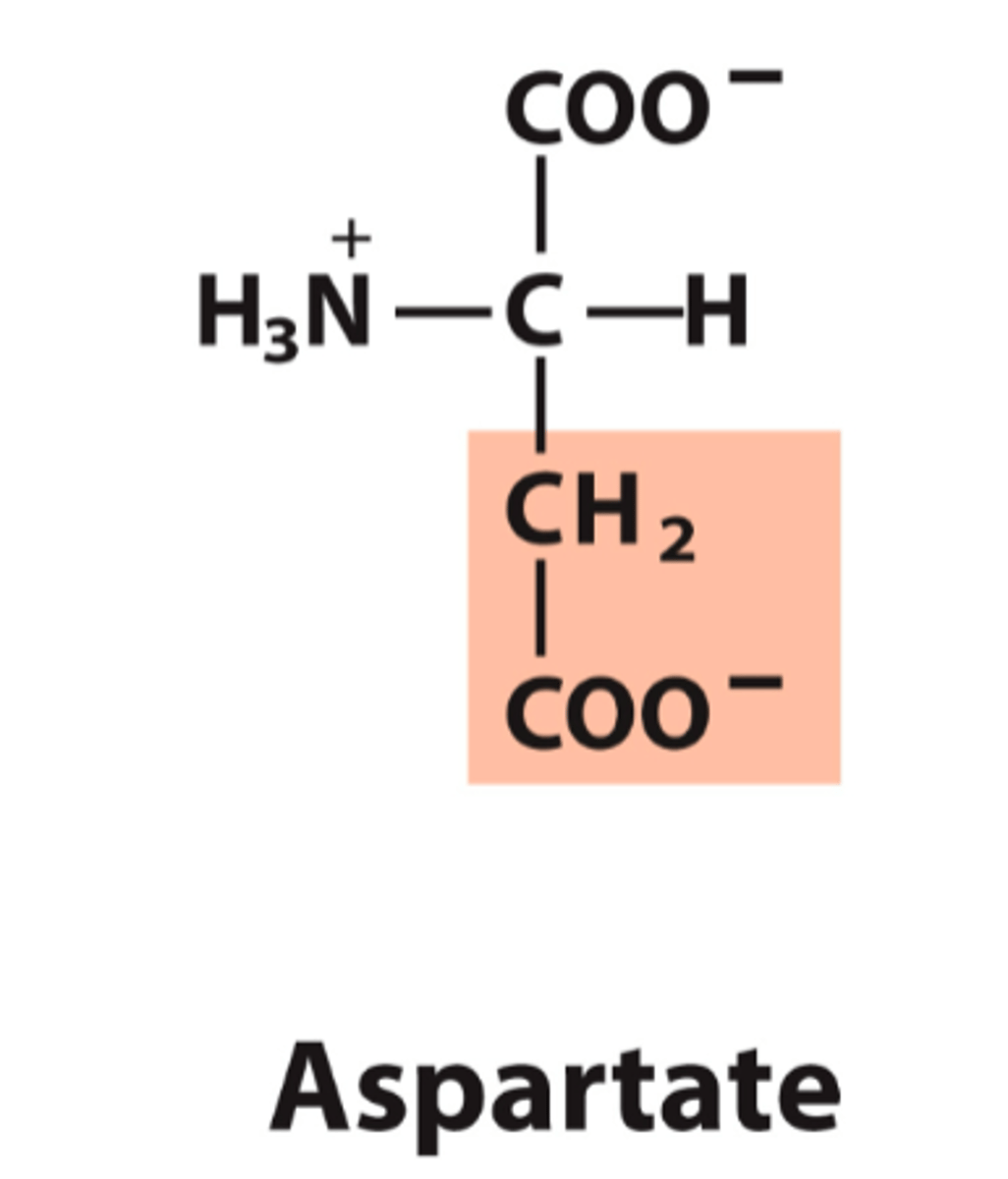 <p>What is the classification of this amino acid's R group?</p>