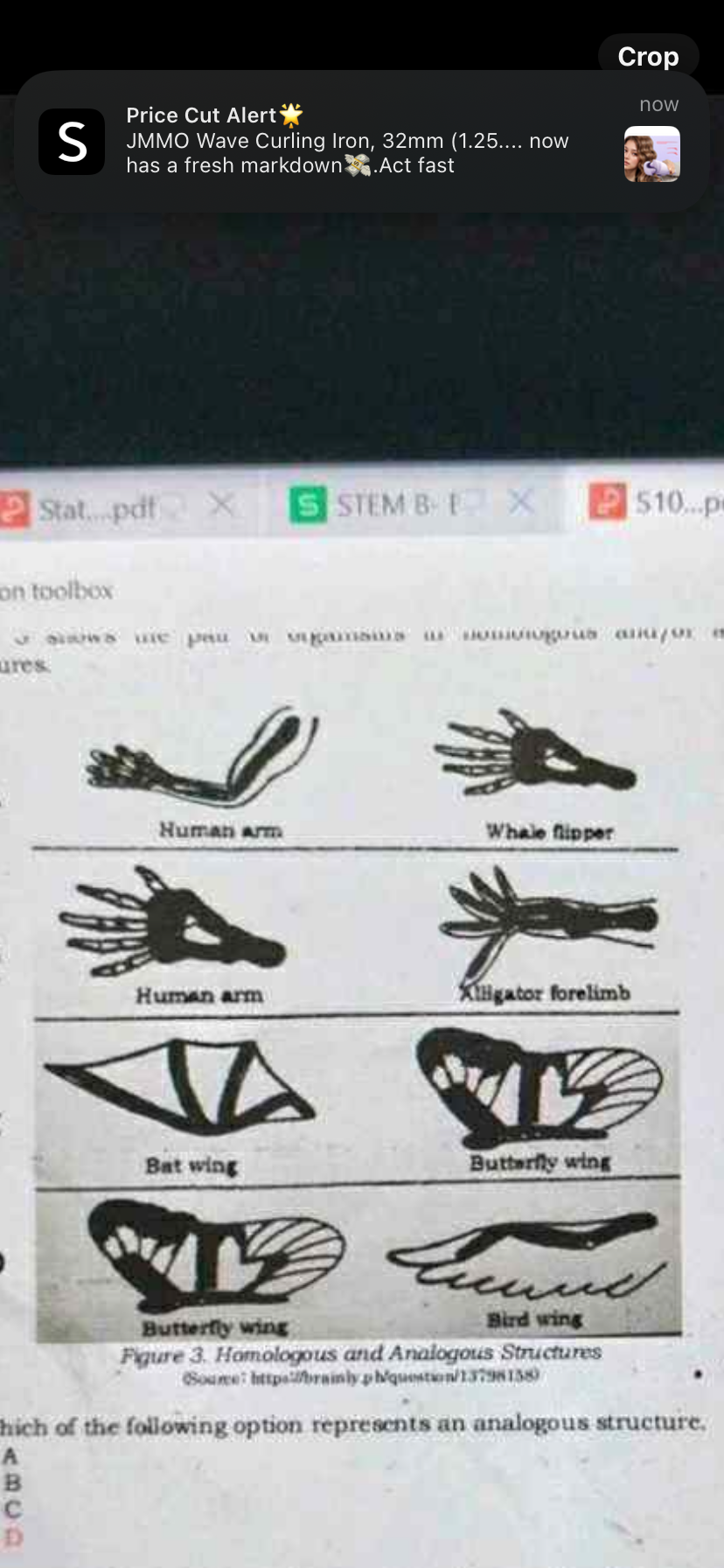 <p><span>Figure 3 shows the pair of organisms in homologous and/or analogous structures.</span></p>