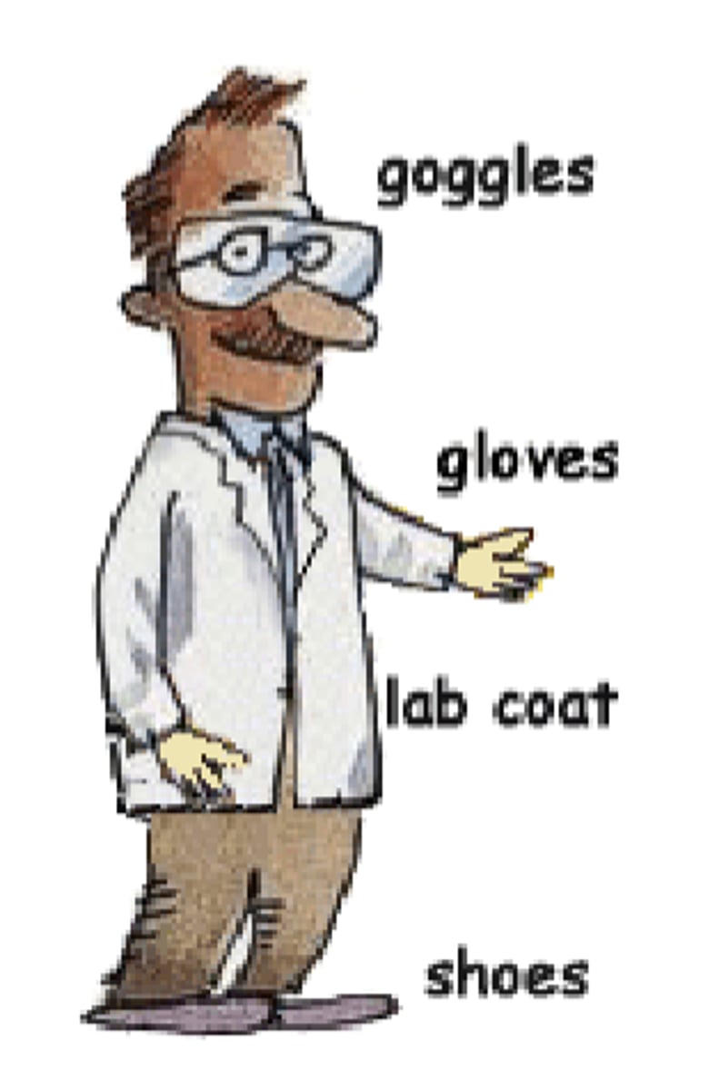 <p>- eye/face protection (safety goggles/glasses)</p><p>- lab coat</p><p>- chemical resistant gloves</p><p>- long pants</p><p>- closed toe shoes</p>