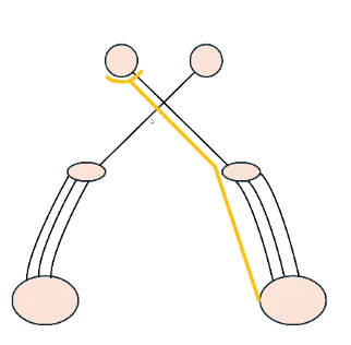<p>name this neurolocalization test</p>