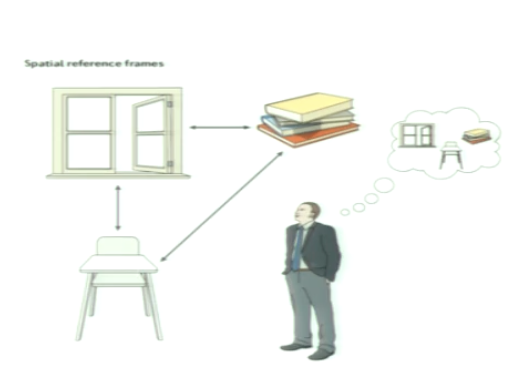 <p>object-to-object</p><p></p><p>representation of space and objects relative to location of other objects (world-centred)</p><ul><li><p>you can move around room and distance between 2 objects don’t change </p></li></ul><p>e.g. a map</p>