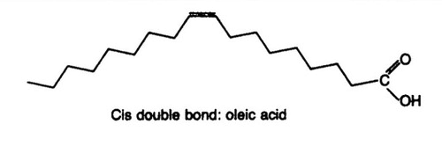 <p>hydrogens are on the same side, causes bend in fatty acid tail</p>