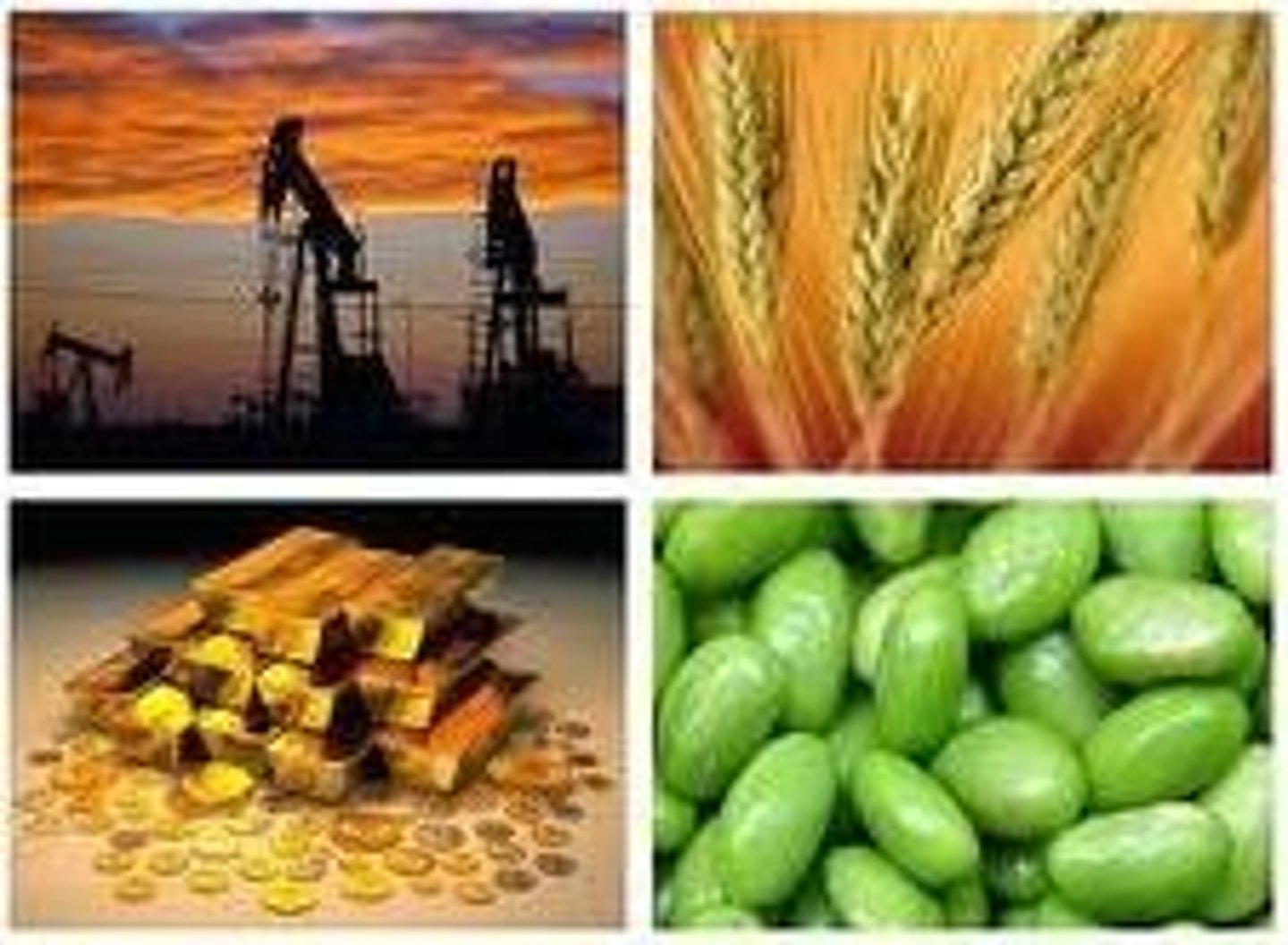<p>ngành thương mại cà phê toàn cầu</p><p>_____ is worth billions.</p>