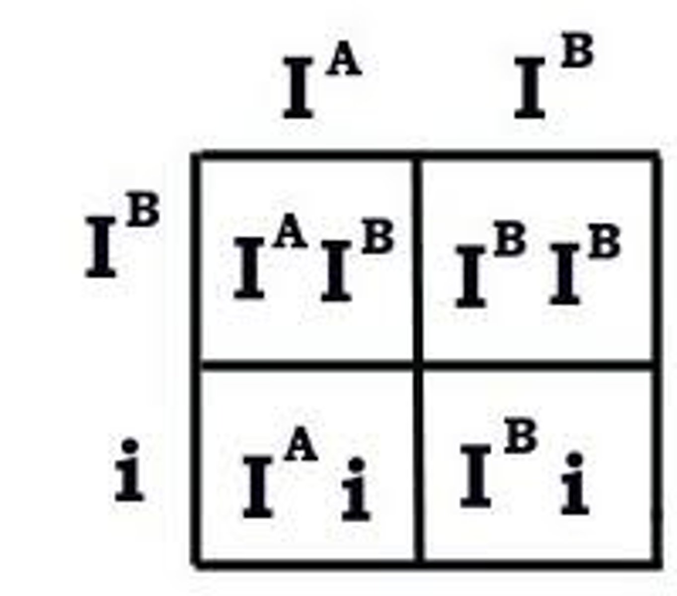 <p>A gene that has more than two alleles</p>