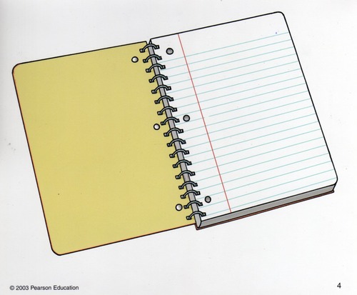 <p>a notebook</p>