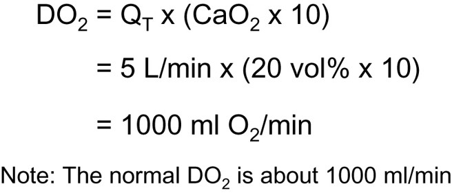 <p>about 1000 mL/min </p>