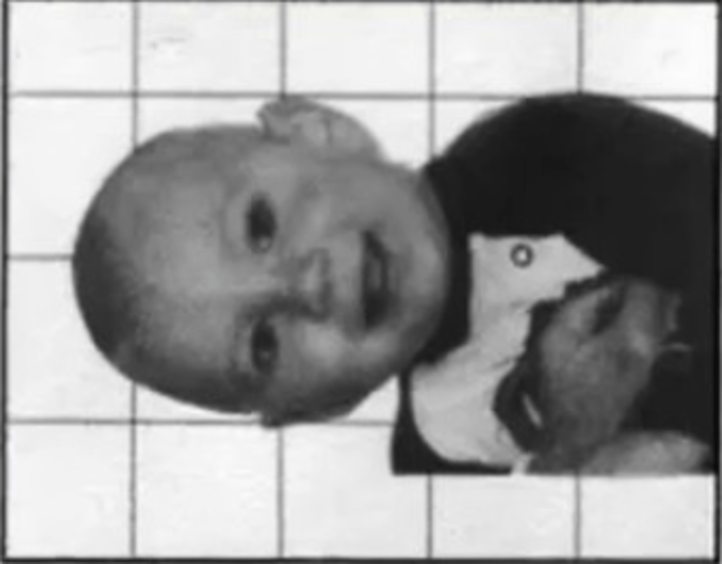 <p>head in the horizontal line</p>