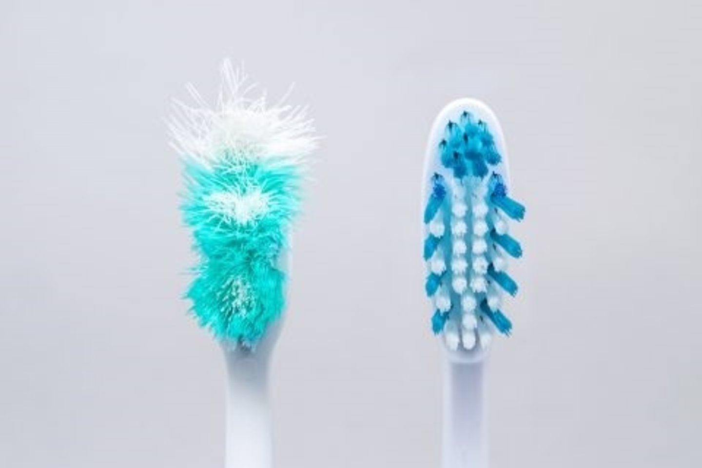<p>to change out a toothbrush</p>