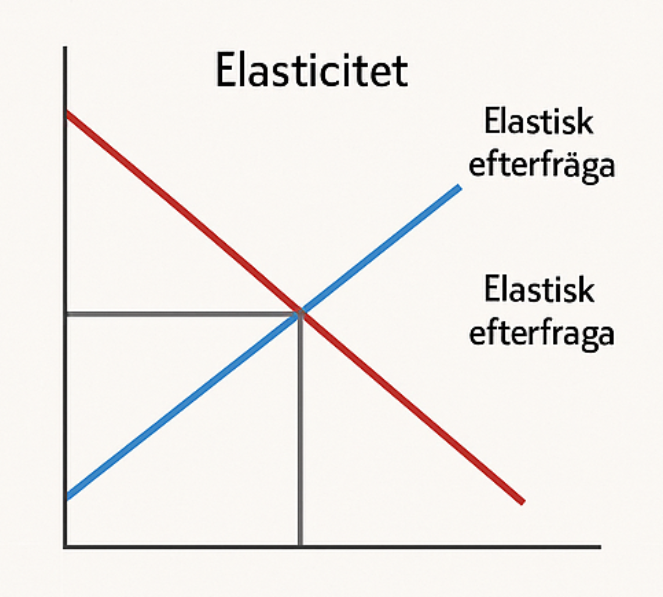 <p>elasistet  grafen vad vissar den, ge exmple</p>