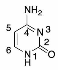 <p>Benenne das Molekül</p>
