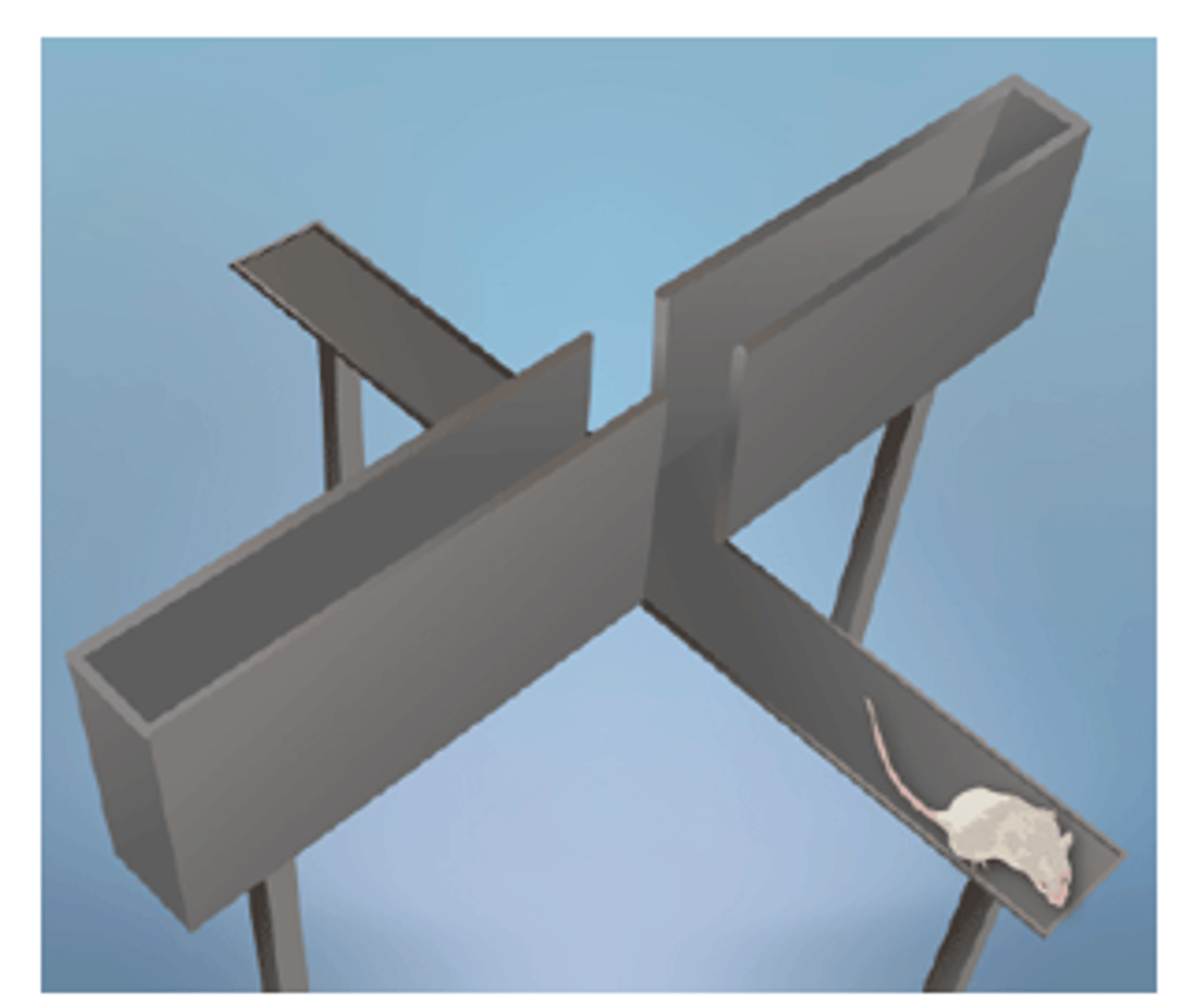 <p>Assesses anxiety during withdrawal</p>