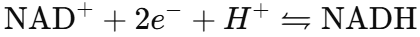 <p><span style="background-color: transparent;"><span>-It's a coenzyme&nbsp;</span></span></p><p><span style="background-color: transparent;"><span>-When its reduced it forms NADH</span></span></p><p></p><p></p>