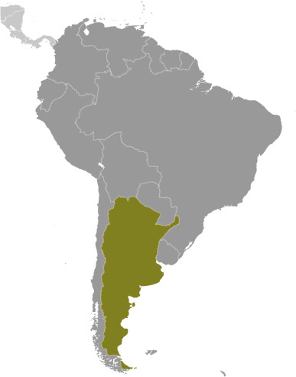 <p>Argentine</p>